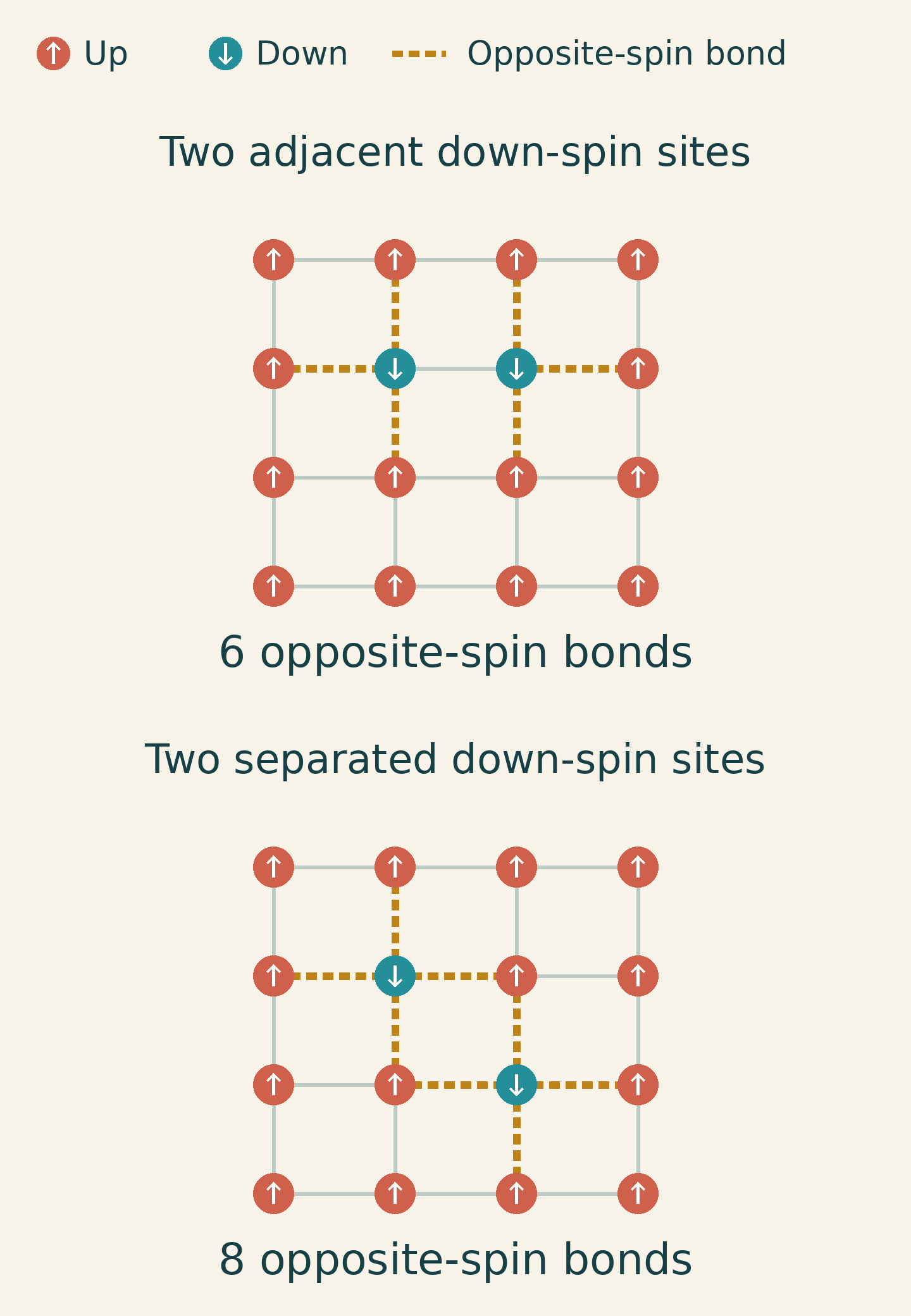 On the same open square lattice, two adjacent down-spin sites produce six opposite-spin bonds, while two separated down-spin sites produce eight