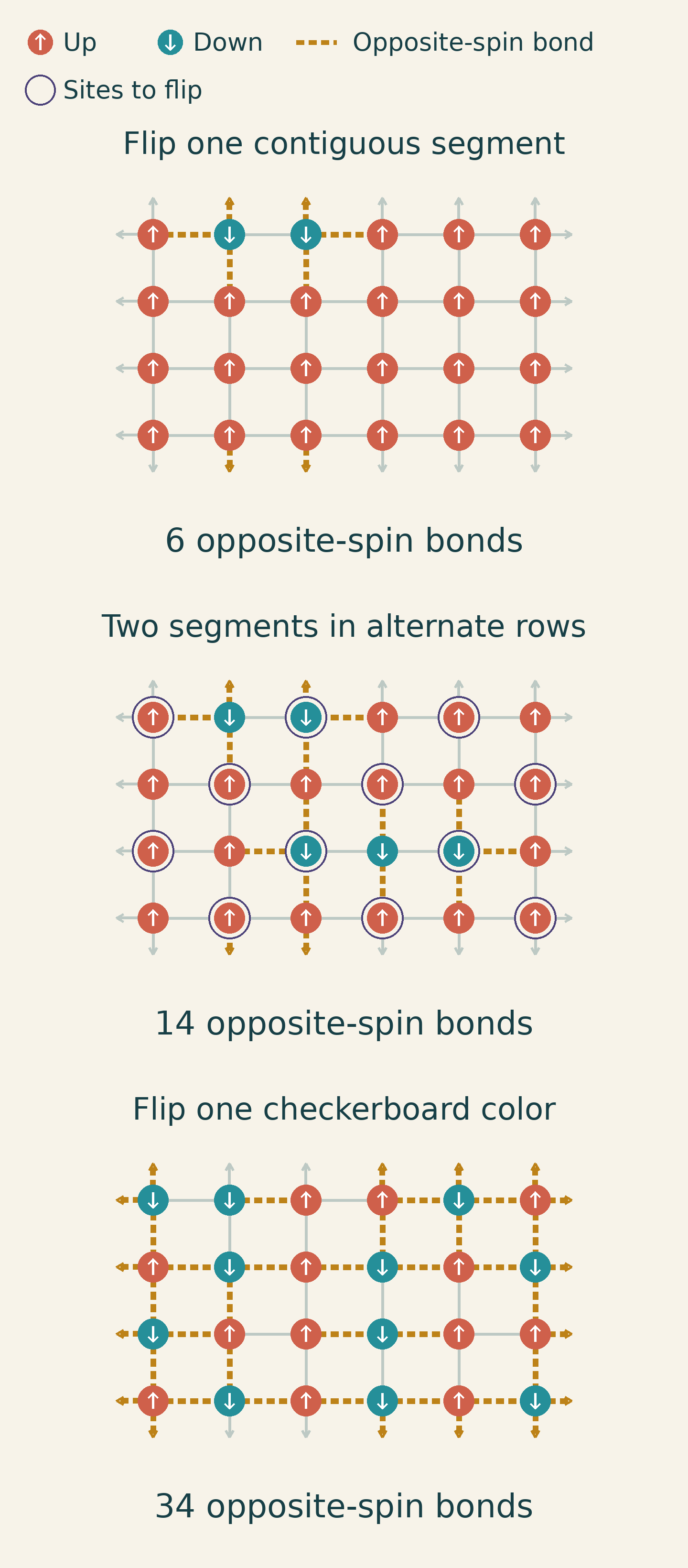 On a six-by-four periodic square lattice, one short segment produces six boundary edges, two segments in alternate rows produce fourteen, and flipping one checkerboard color produces thirty-four