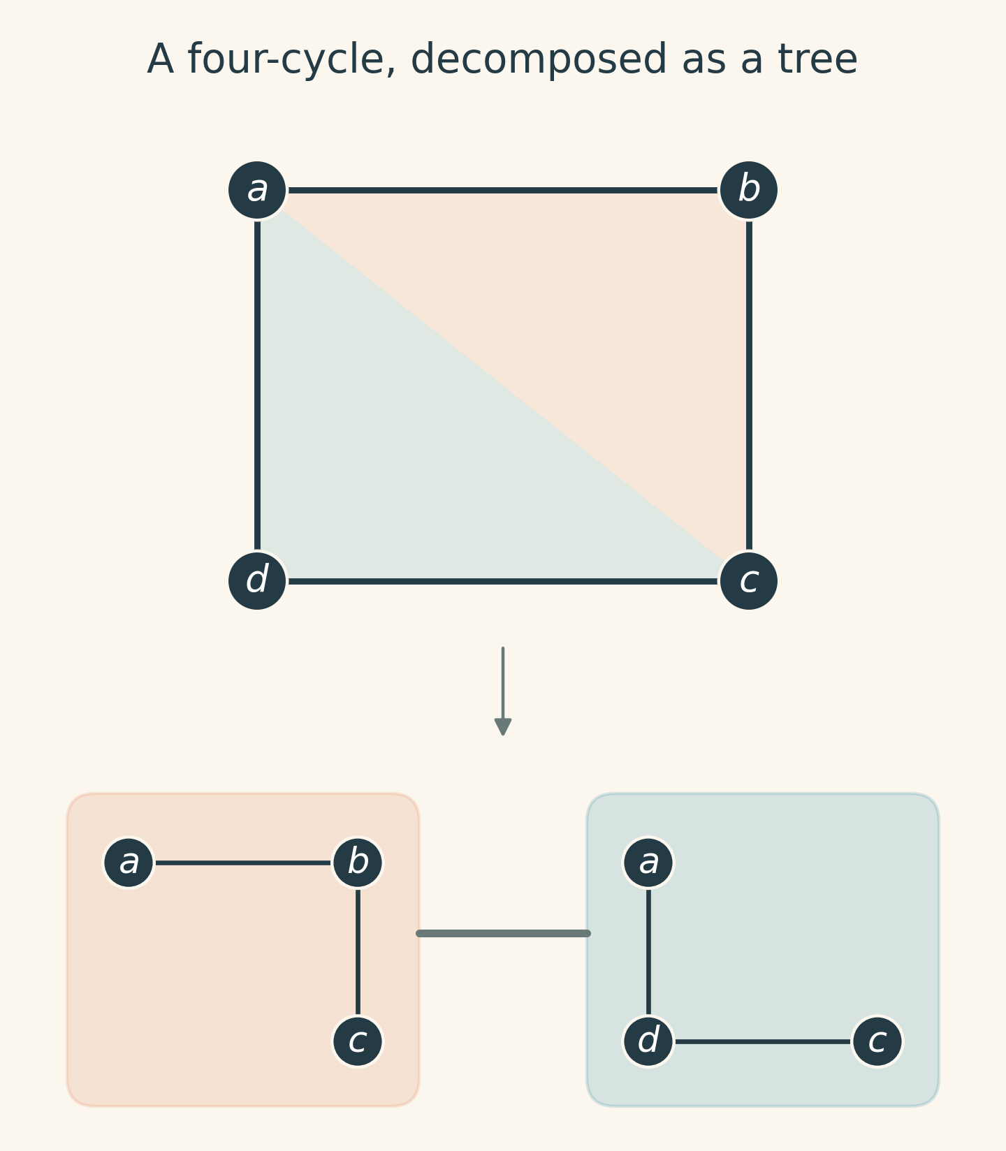 A four-cycle is covered by two triangular colored regions; below it, two connected bags hold the first three vertices and the first, third, and fourth vertices, respectively