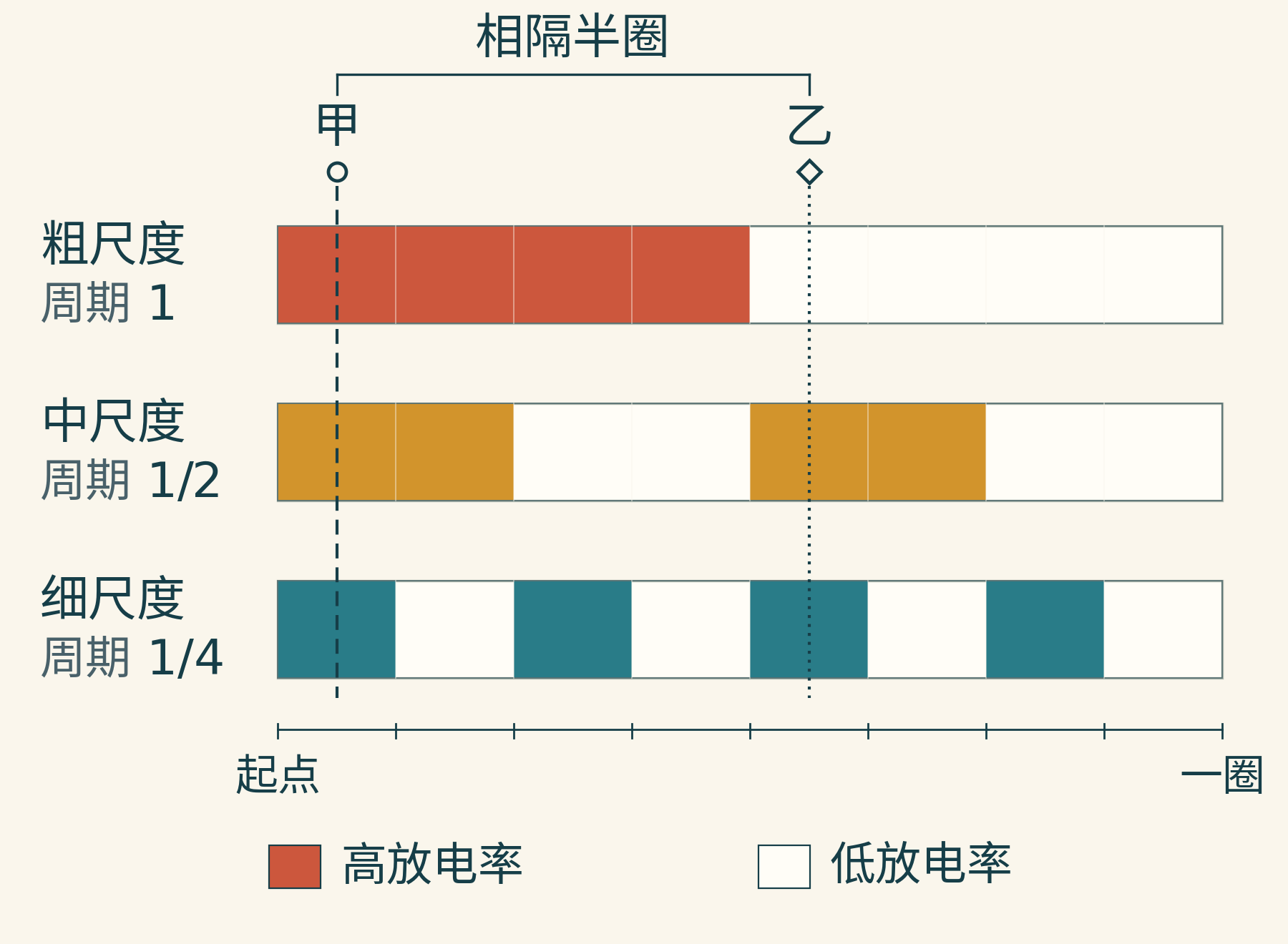 三行周期依次缩短的高低放电率条带。相隔半圈的甲、乙在中、细两行相同,只在粗的一行不同。